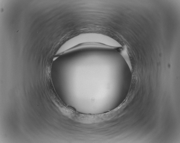 X0000081580045200702051250