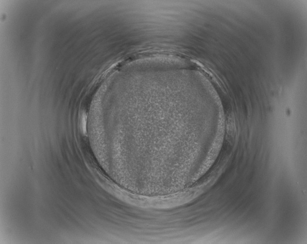 X0000081580046200702051250