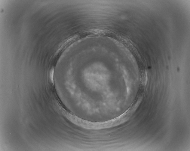 X0000081580047200702051250