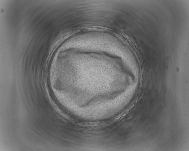 X0000081580049200702051249