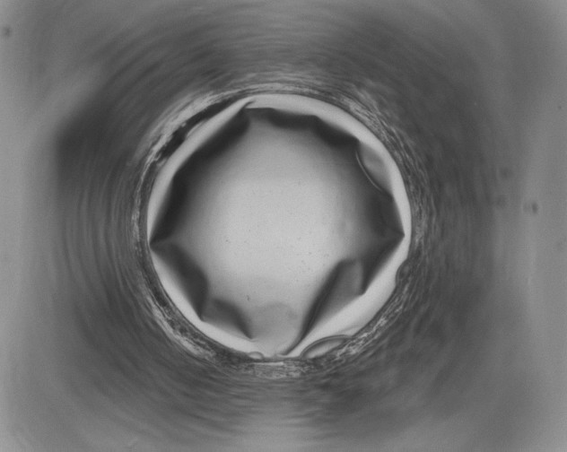 X0000081580050200702051249