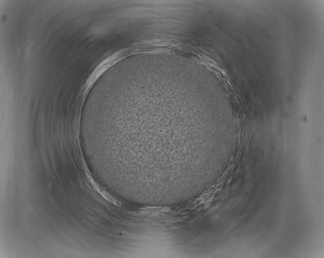 X0000081580051200702051249