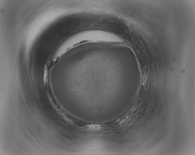 X0000081580052200702051249