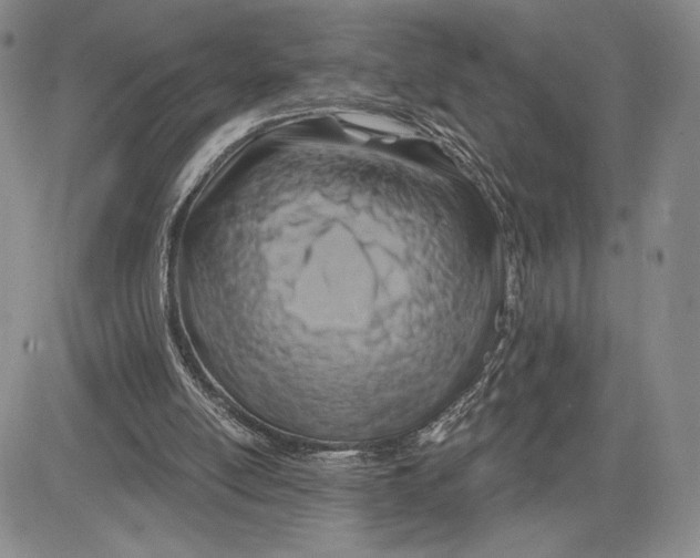 X0000081580054200702051249