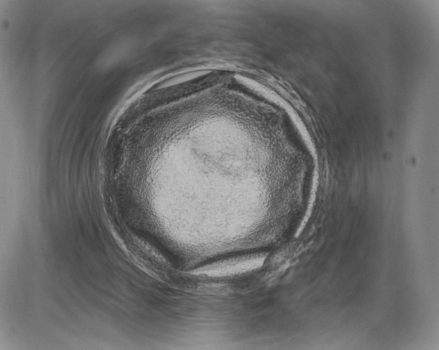 X0000081580055200702051249