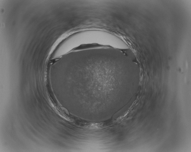 X0000081580056200702051249