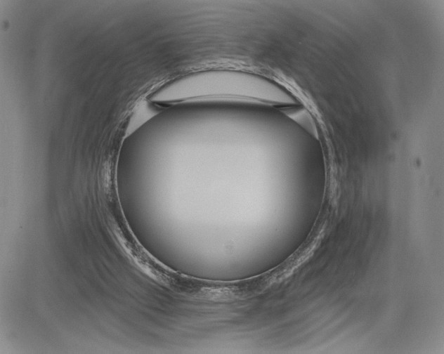 X0000081580057200702051249