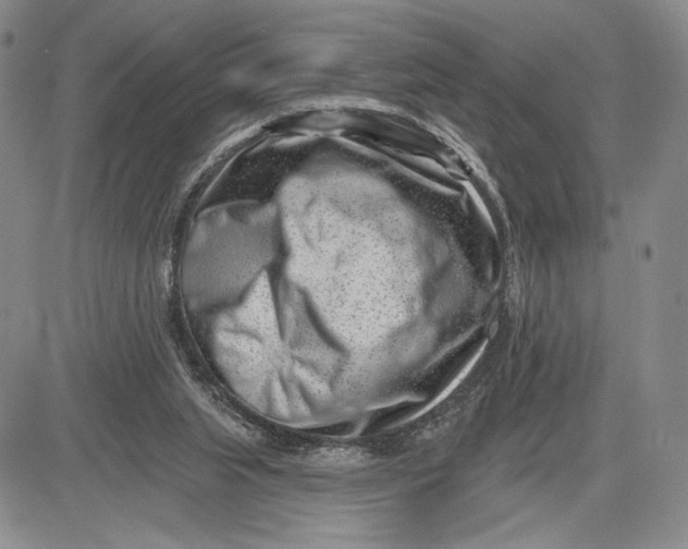 X0000081580063200702051249