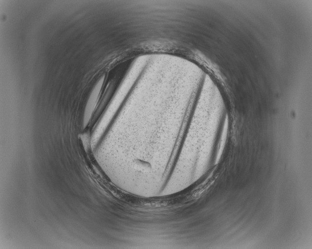 X0000081580065200702051249