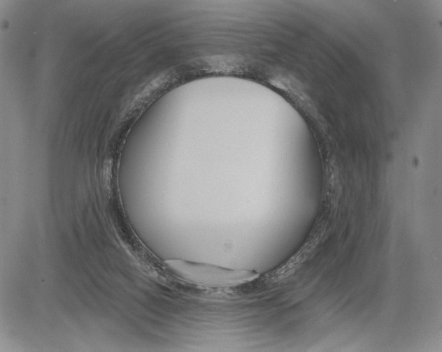 X0000081580066200702051249