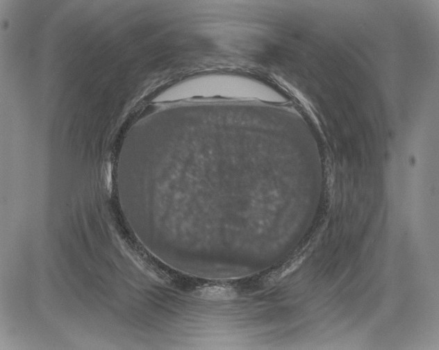 X0000081580067200702051249