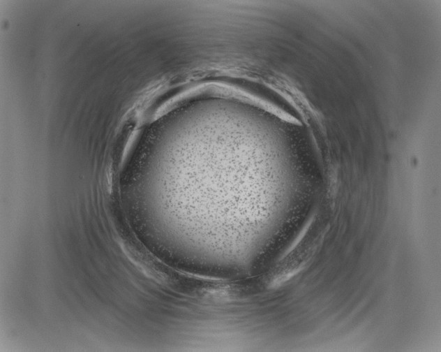 X0000081580068200702051249