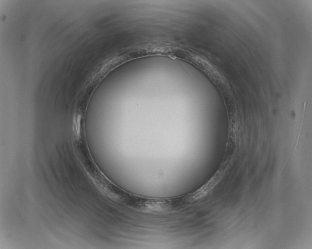 X0000081580070200702051249