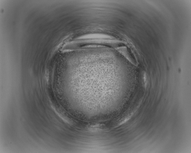 X0000081580072200702051249