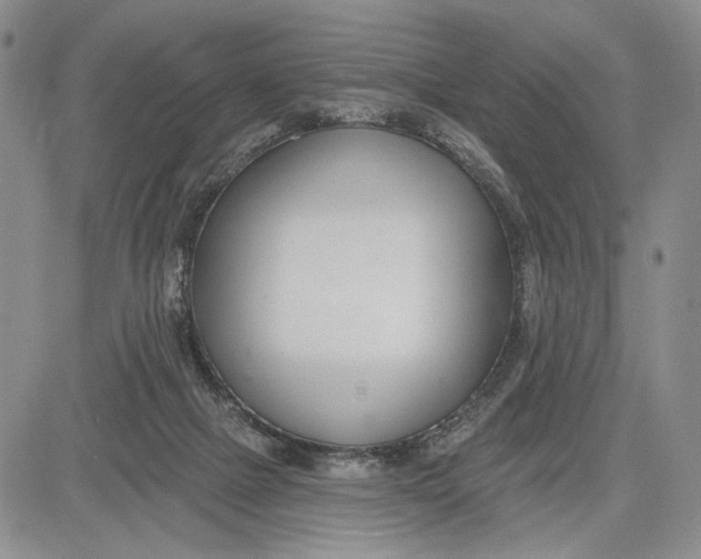 X0000081580073200702051249