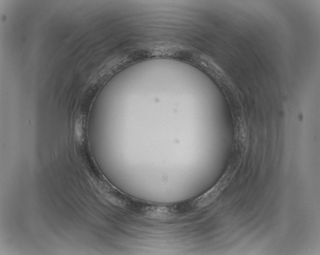 X0000081580074200702051250