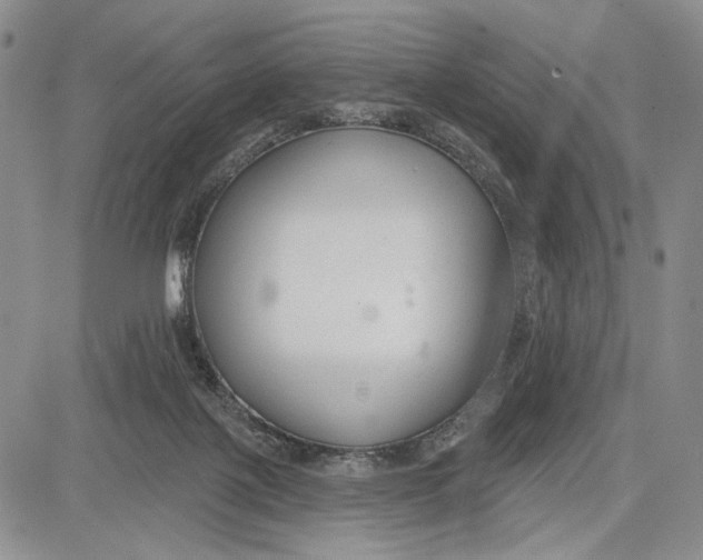 X0000081580075200702051250