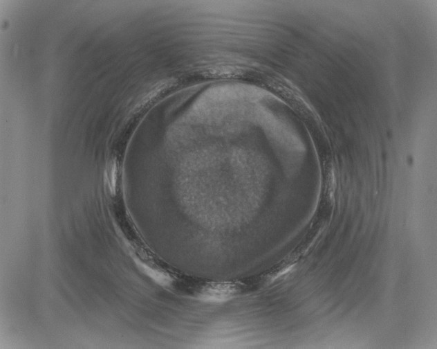 X0000081580076200702051250