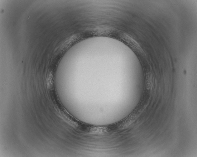 X0000081580077200702051250