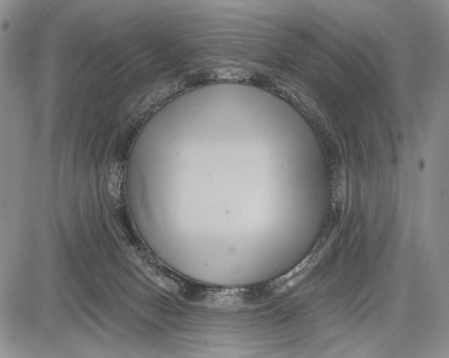 X0000081580078200702051250