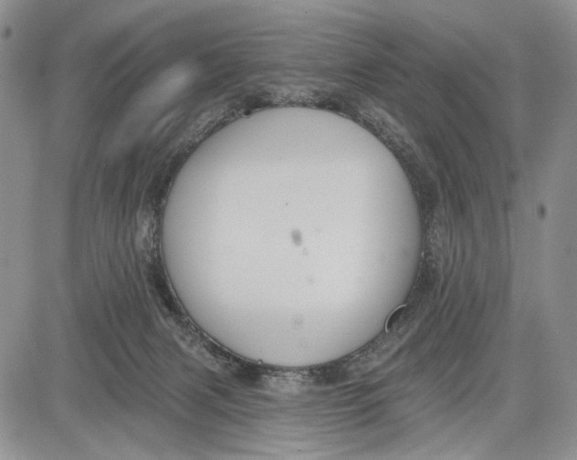 X0000081580079200702051250