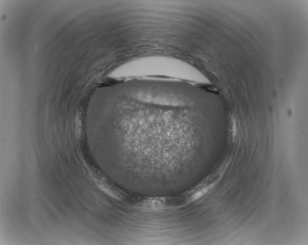 X0000081580080200702051250