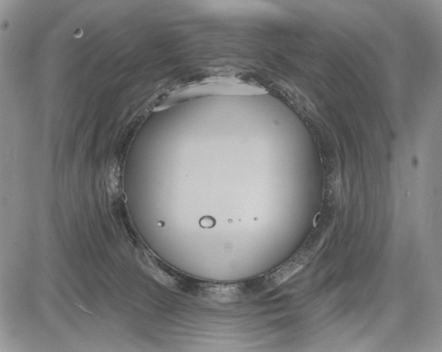 X0000081580081200702051250