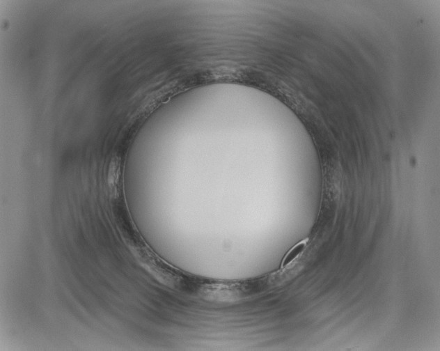 X0000081580082200702051250