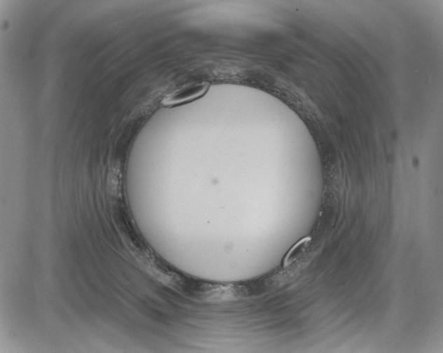 X0000081580083200702051250