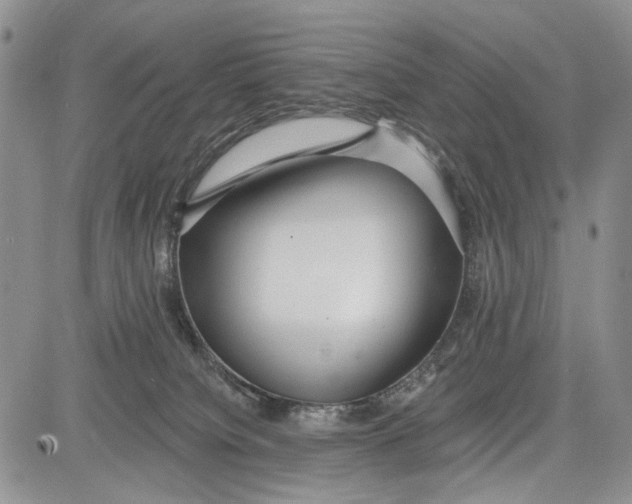 X0000081580084200702051250