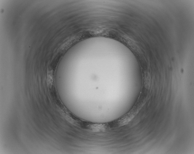 X0000081580085200702051250