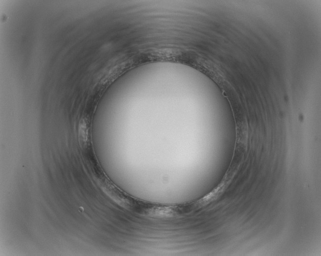 X0000081580086200702051250