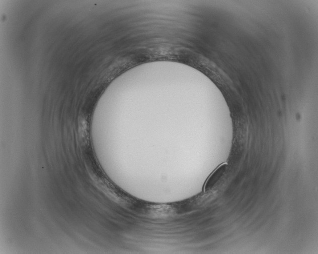 X0000081580087200702051250