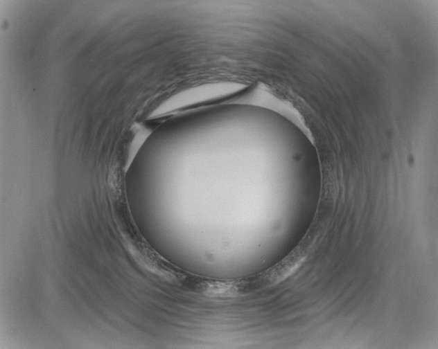 X0000081580088200702051250