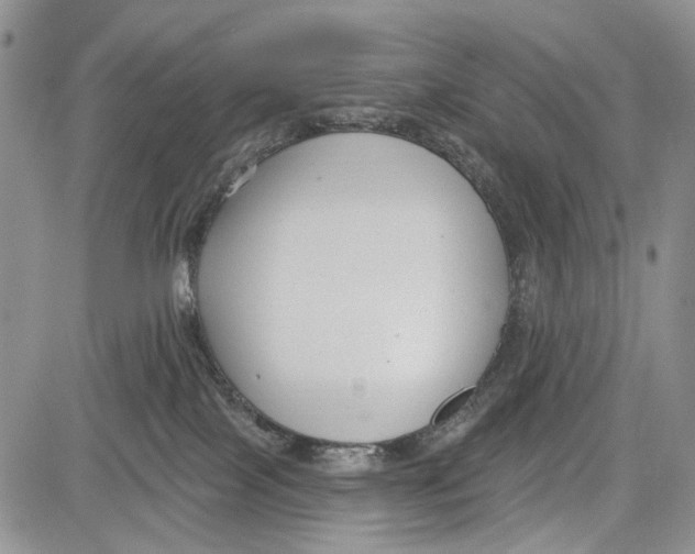 X0000081580089200702051250