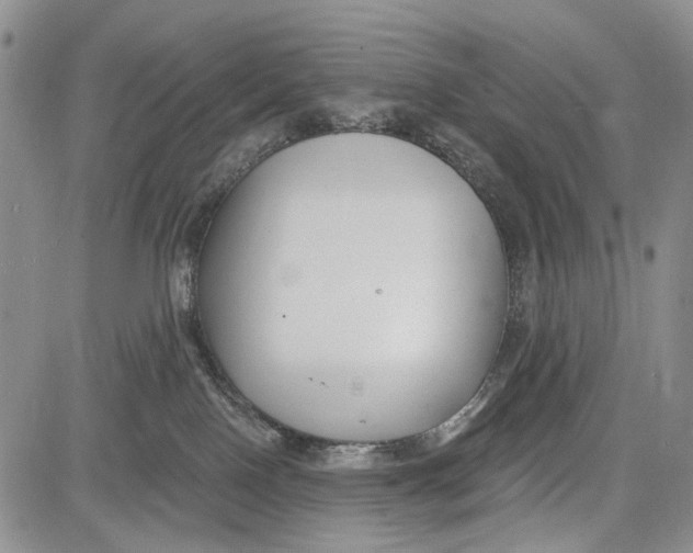 X0000081580090200702051250