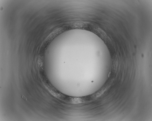 X0000081580091200702051250