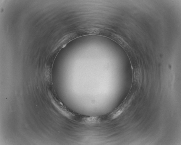 X0000081580092200702051250