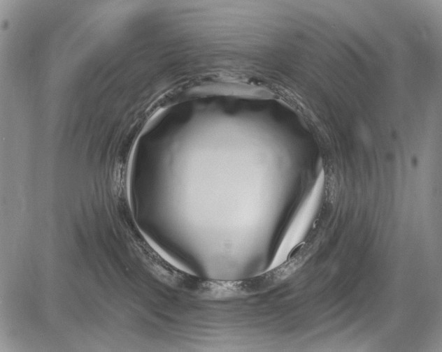 X0000081580093200702051250