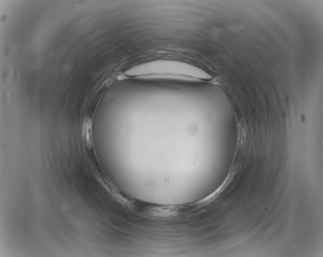 X0000081580094200702051250