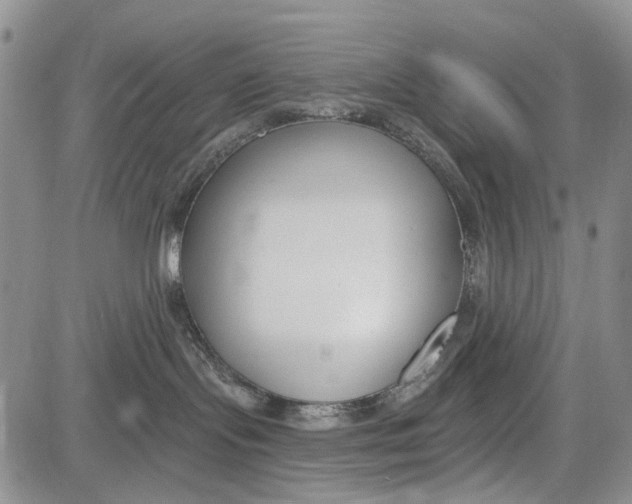 X0000081580095200702051250