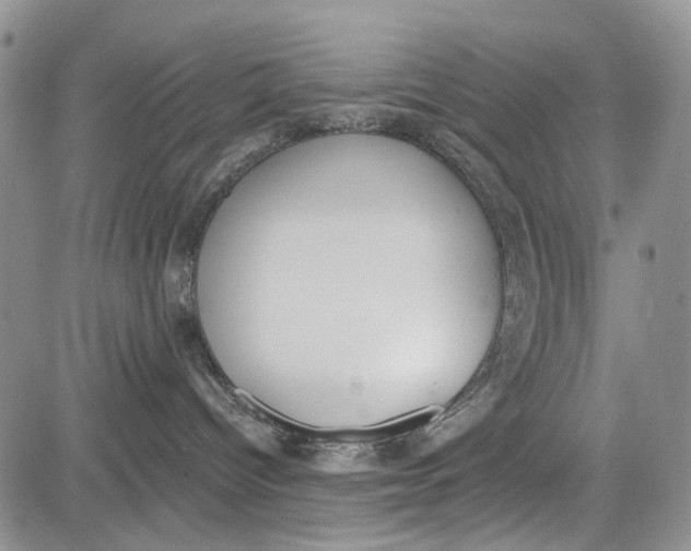 X0000081580096200702051250