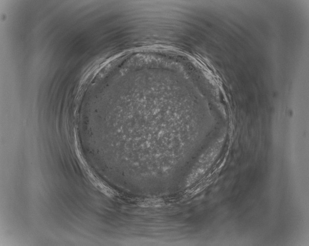 X0000081580097200702051249