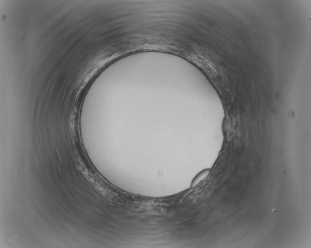 X0000081580098200702051249