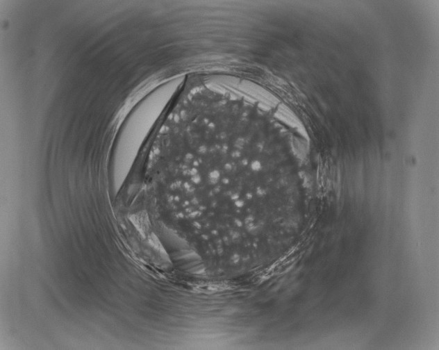 X0000081580099200702051249