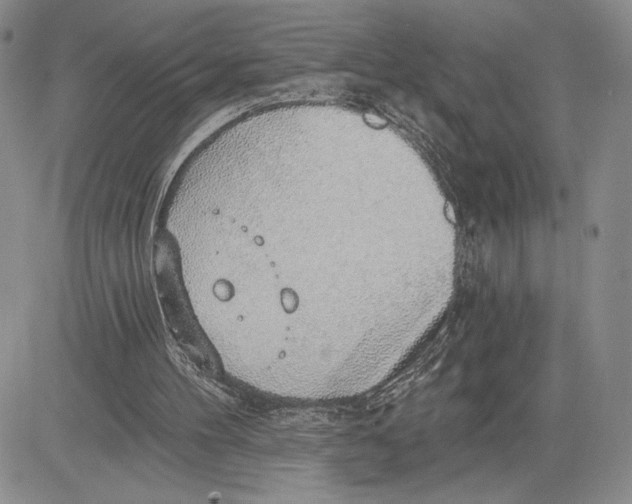 X0000081580100200702051249