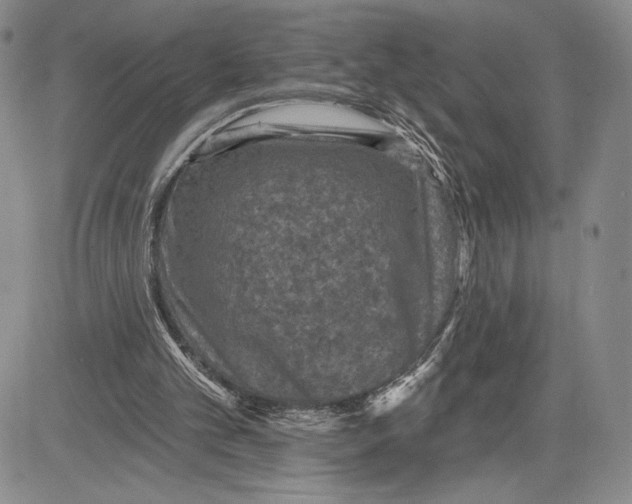 X0000081580101200702051249