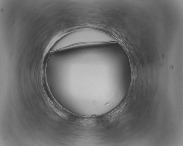 X0000081580102200702051249