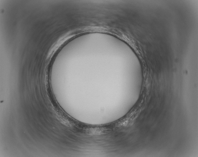 X0000081580103200702051249