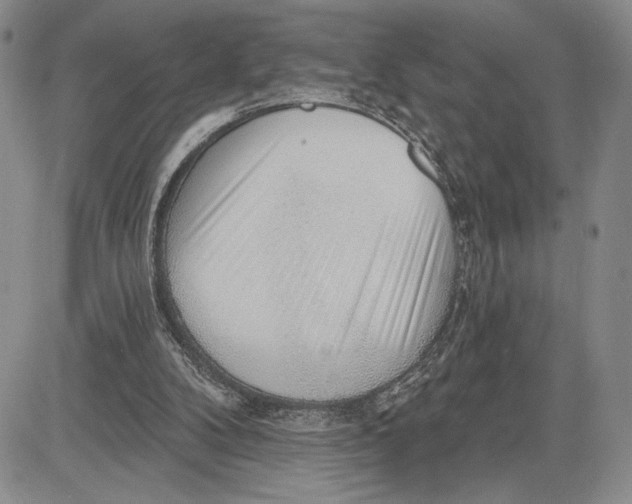 X0000081580104200702051249